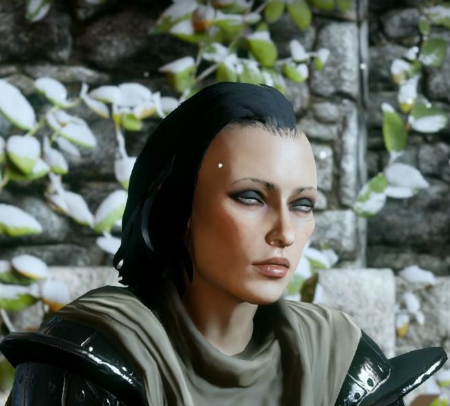 DragonAgetrade_Inquisition_2014112917285