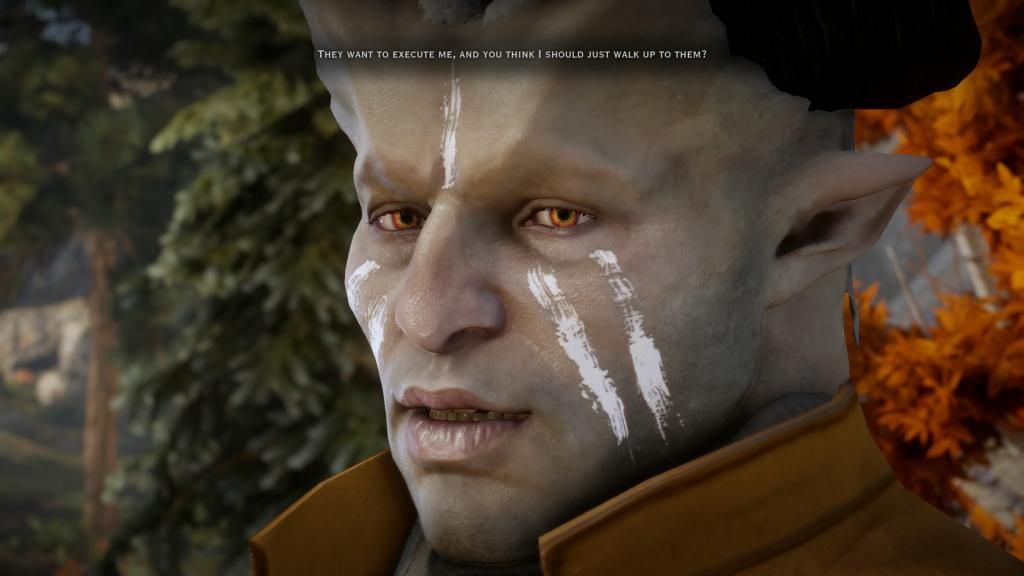 DragonAgetrade_Inquisition_2014120823271