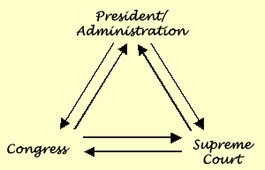 Checks and Balances Essay