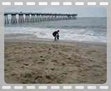 ChsnCmBch1.mp4 video by CameronRG