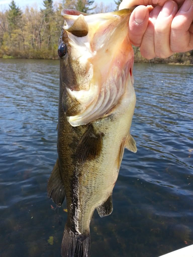 Fishing Near Easton Forums