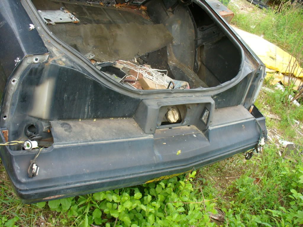 Gas Cap Location Page 2 VW Vortex Volkswagen Forum