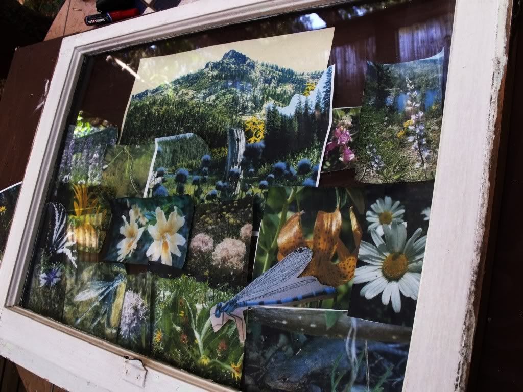 window1