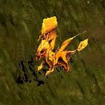 Golden Budge Dragon