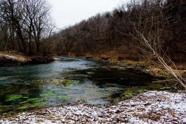 20090125_BennettSpring_0017.jpg