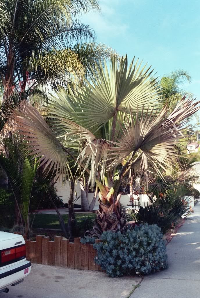 017_8A_00.jpg