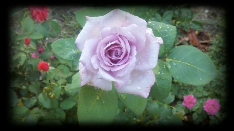 Snapbucket,Vignette: Square Black