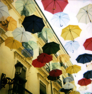 umbrellas. Pictures, Images and Photos