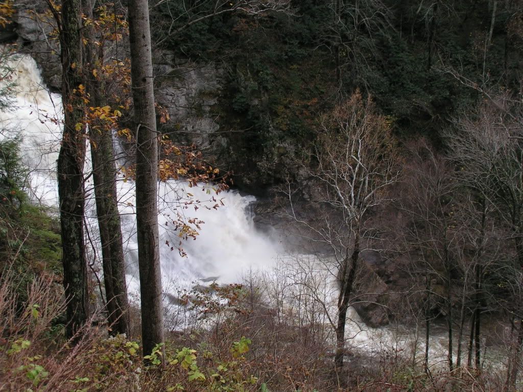 PICT0036.jpg