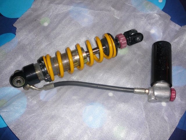Posted Image