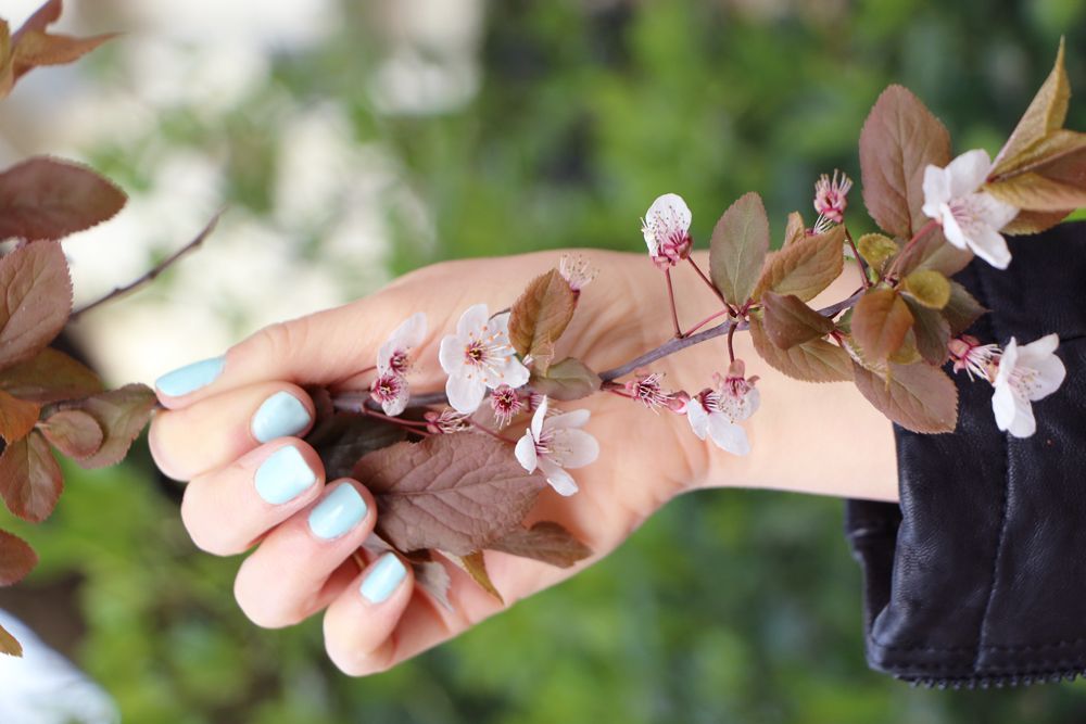  photo veste-cuir-perfecto-brandy-le-temps-des-cerises.jpg