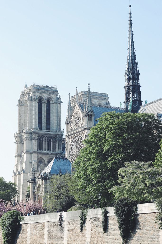  photo notre-dame-de-paris.jpg