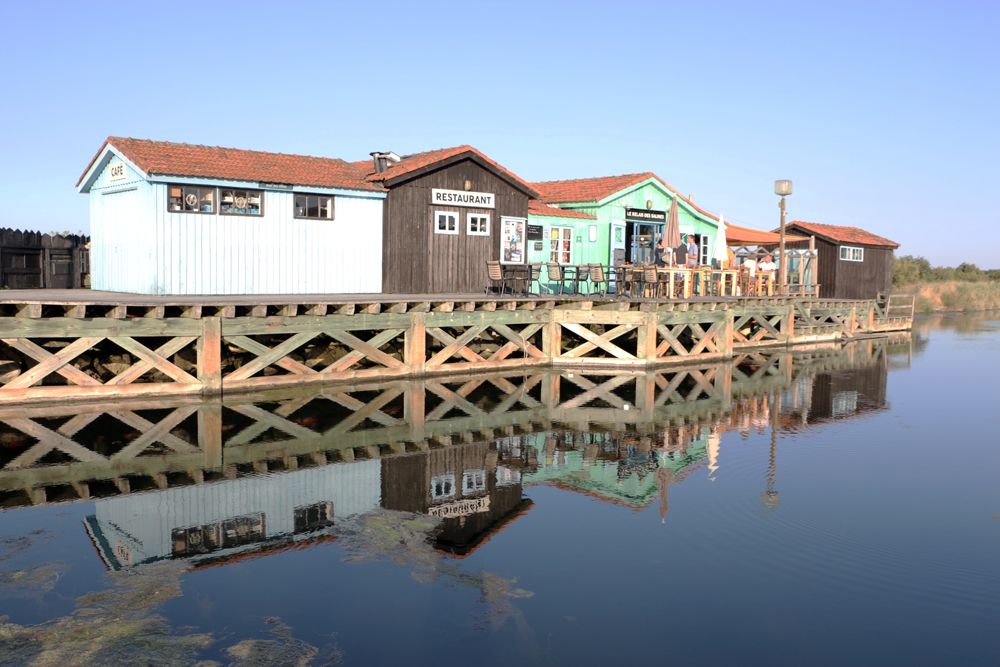  photo oleron-les-salines-1.jpg