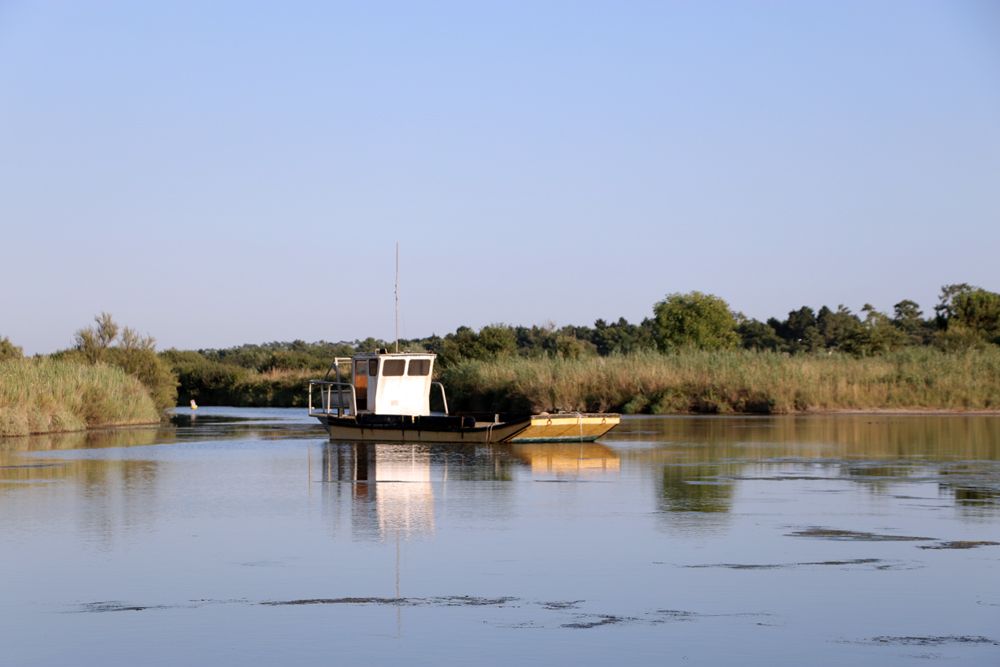  photo oleron-les-salines.jpg