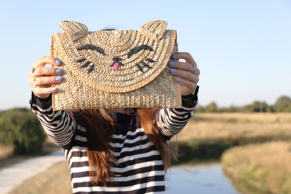  photo topshop-cat-clutch.jpg