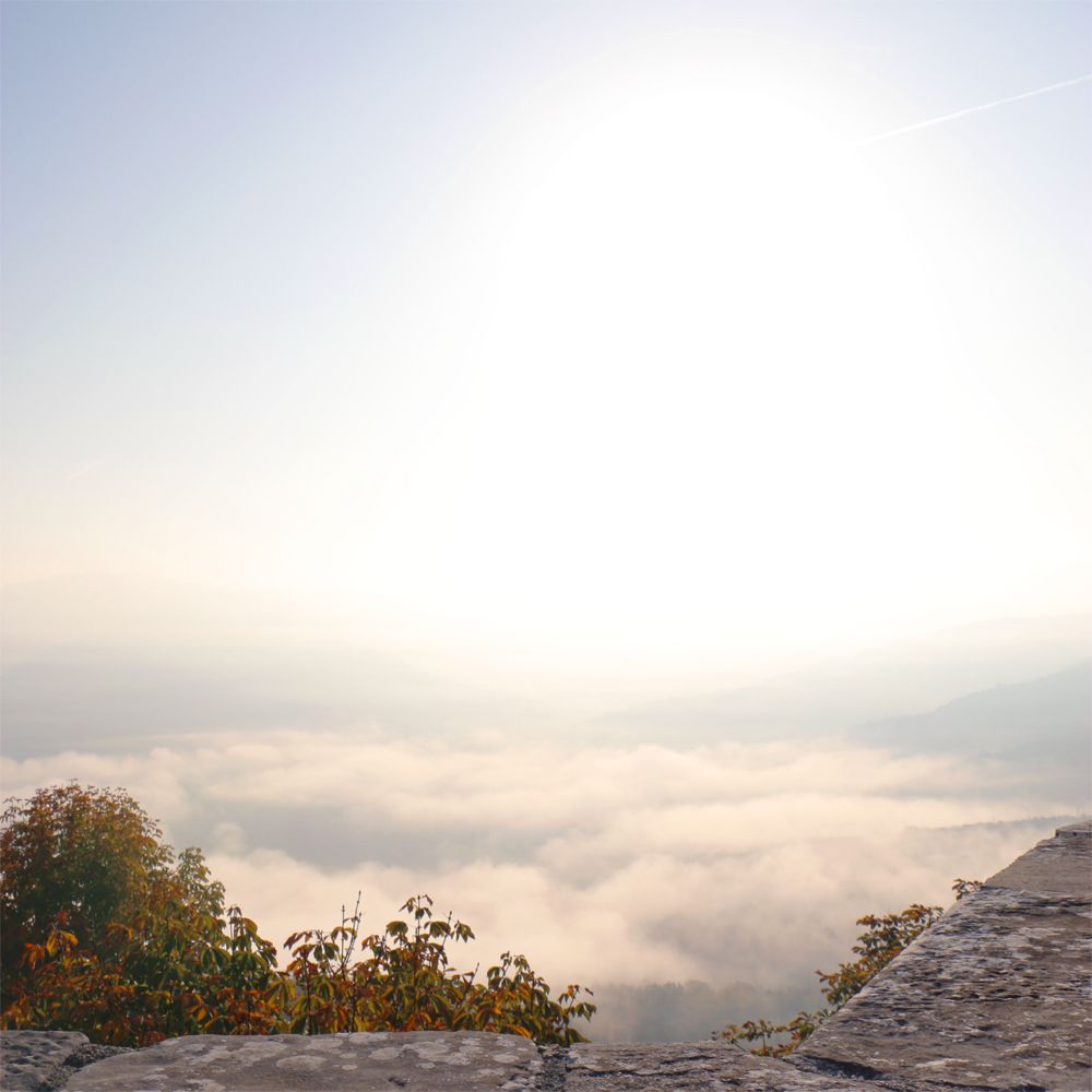  photo motovun-croatia-marieluvpink-5.jpg