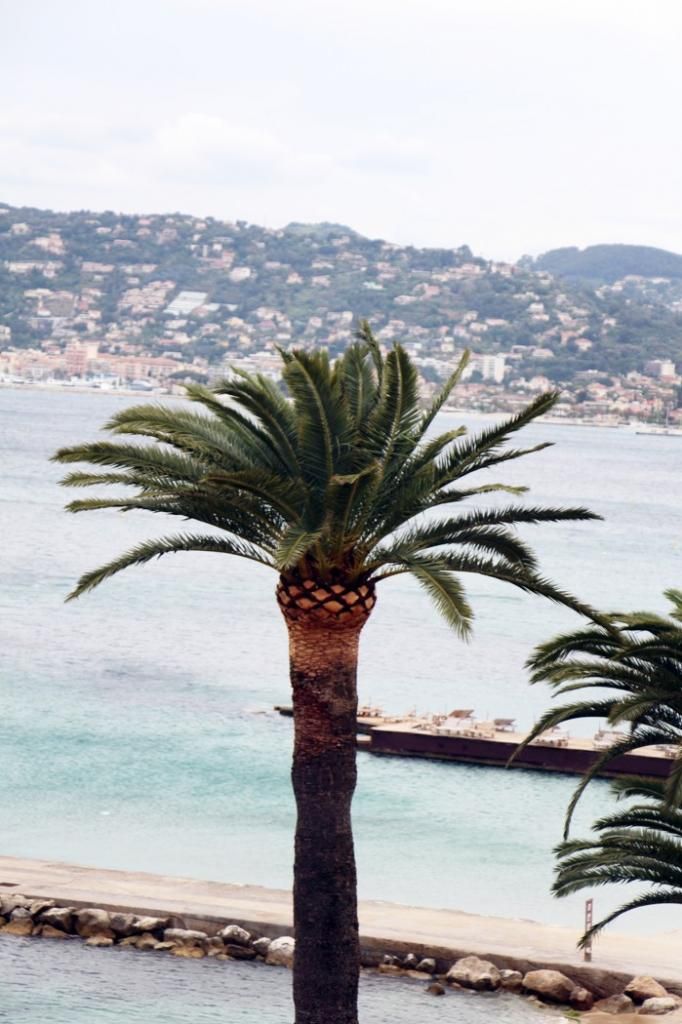  photo GARDEN_BEACH_HOTEL_JUAN_LES_PINS_2jpg_effected.jpg