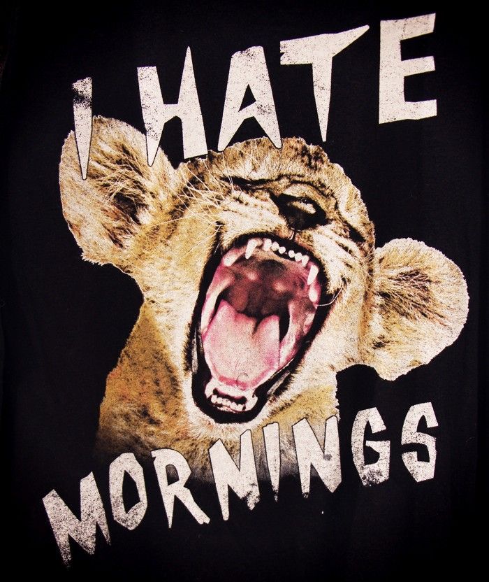  photo TEE_I_HATE_MORNINGSjpg_effected-001.jpg