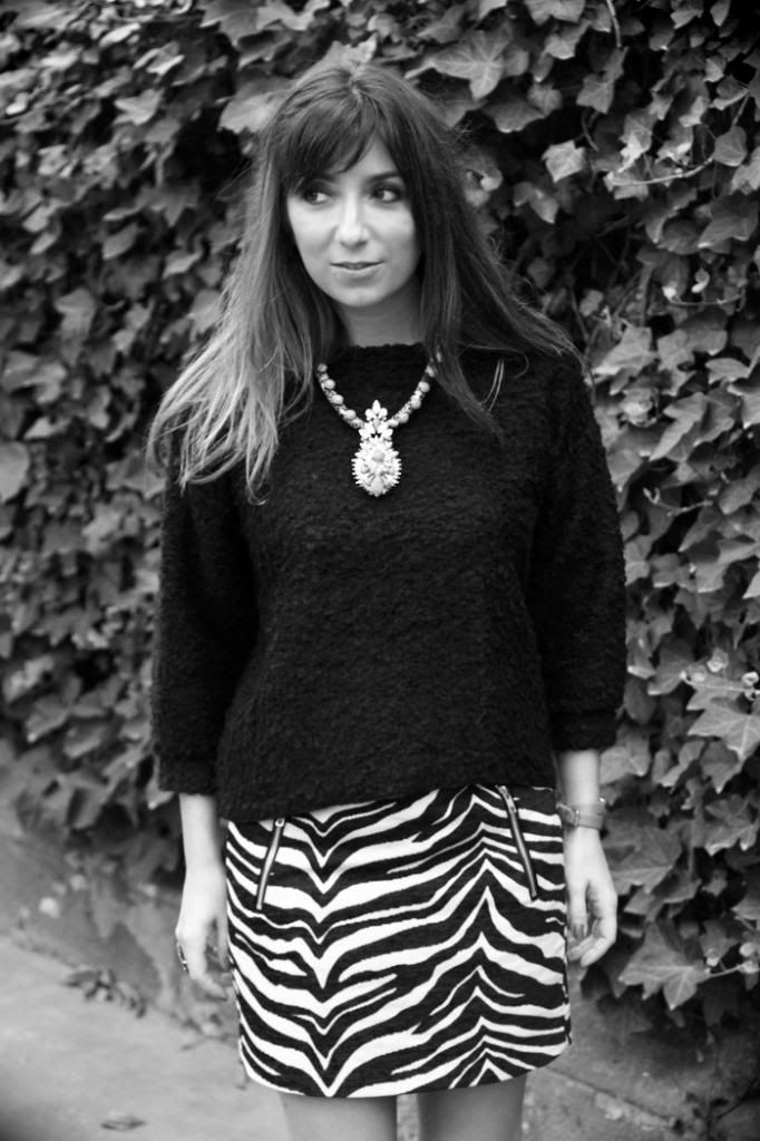  photo ZEBRA_SKIRT_2jpg_effected-001.jpg