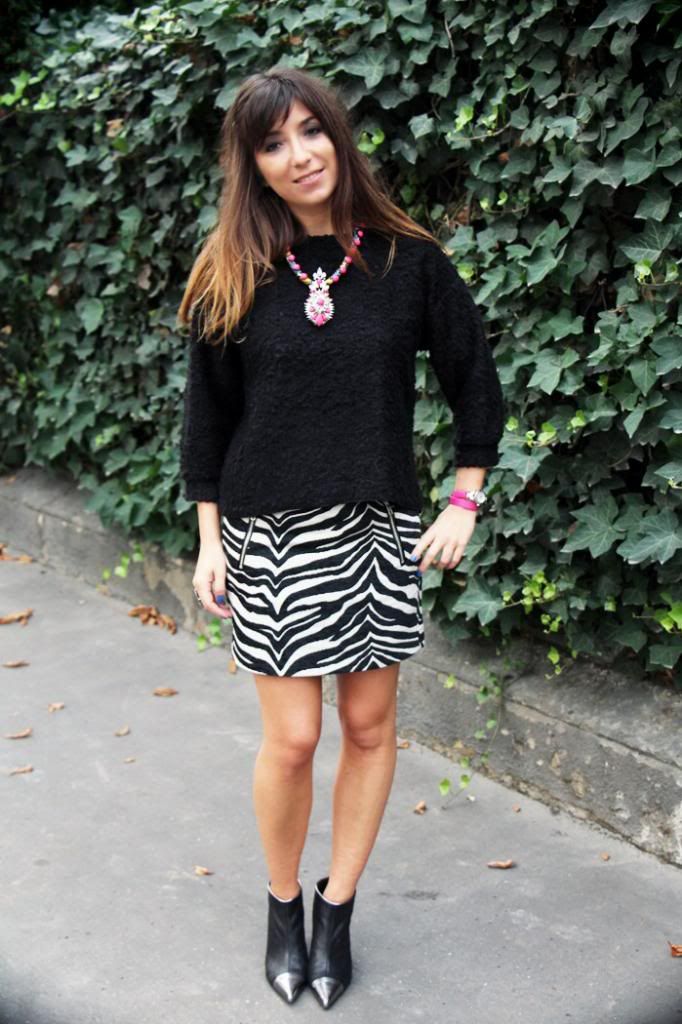  photo ZEBRA_SKIRT_3jpg_effected.jpg