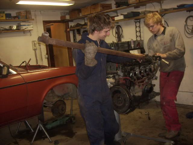 Bild