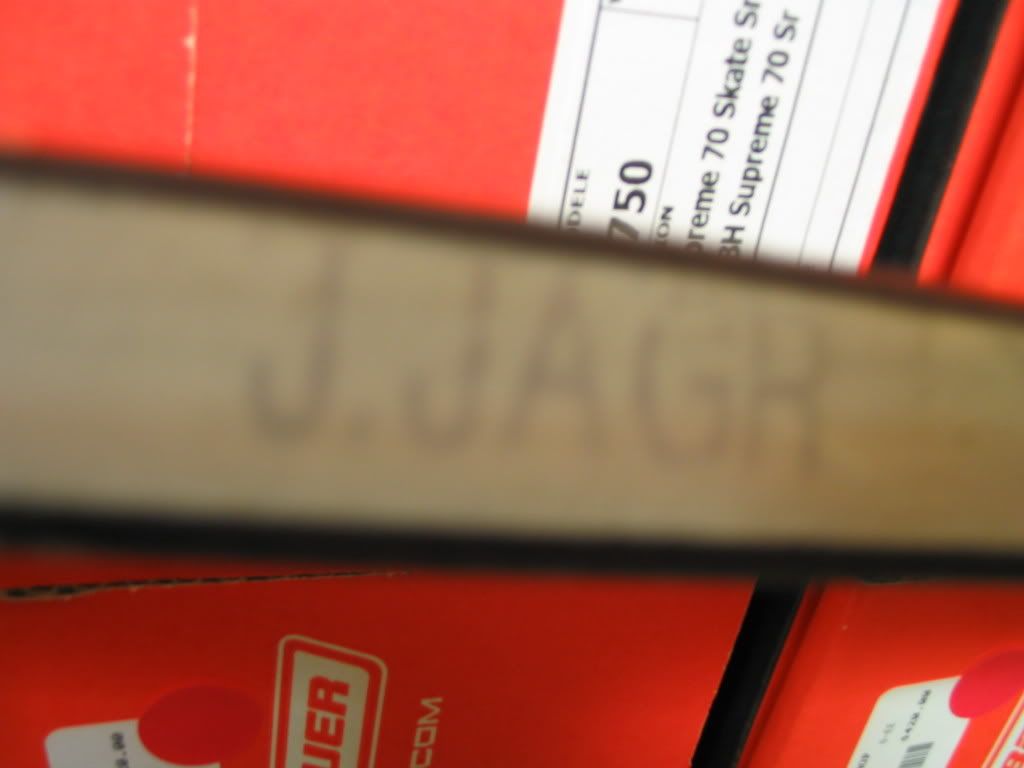 torontoJagr023.jpg