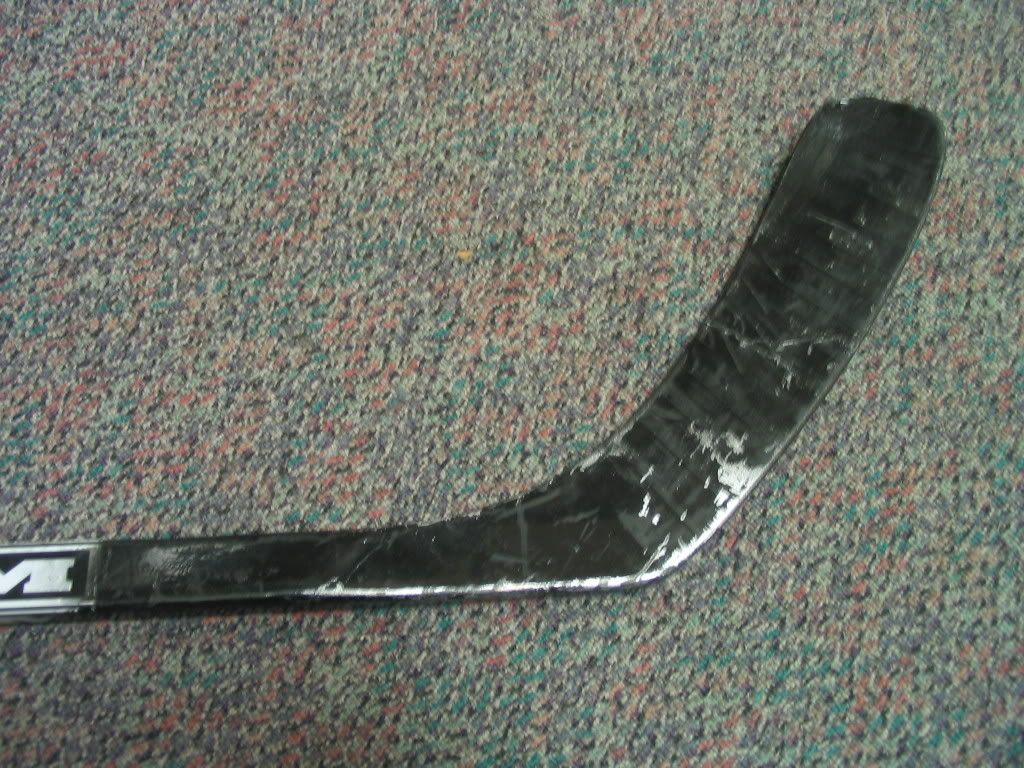 torontoJagr026.jpg