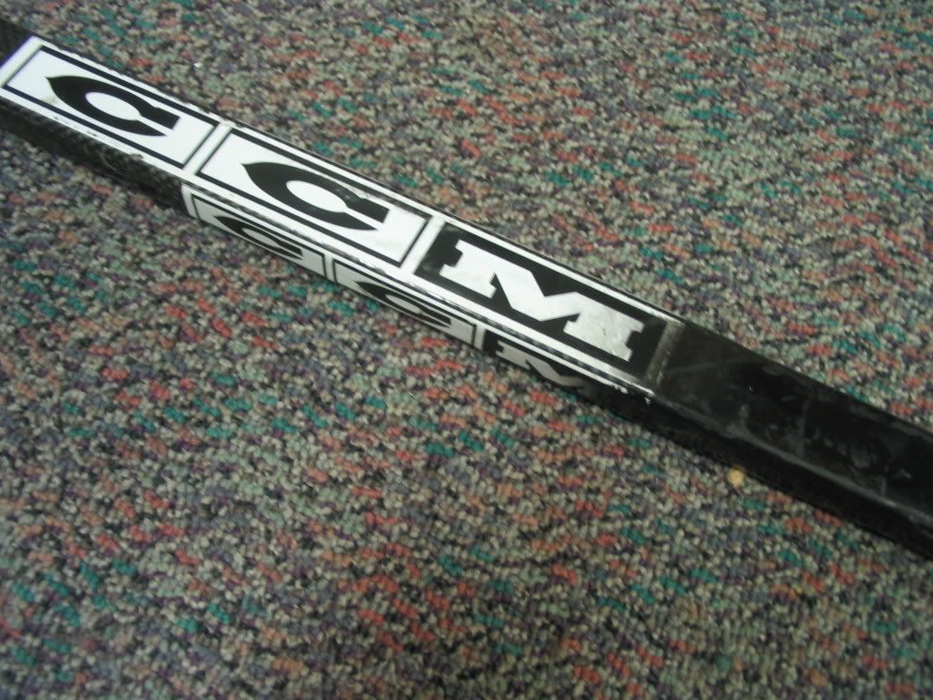 torontoJagr027.jpg