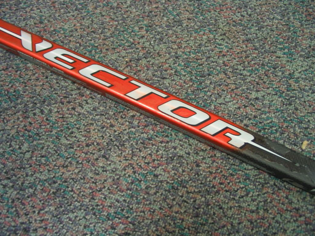 torontoJagr028.jpg