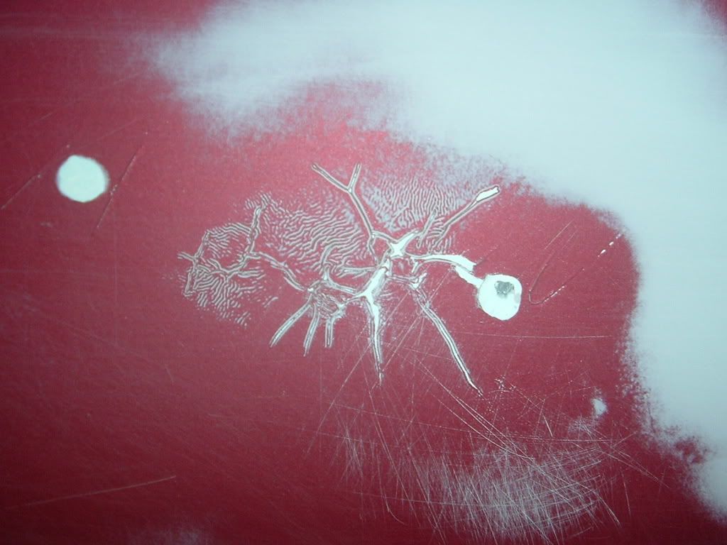 primer cracked Team Chevelle