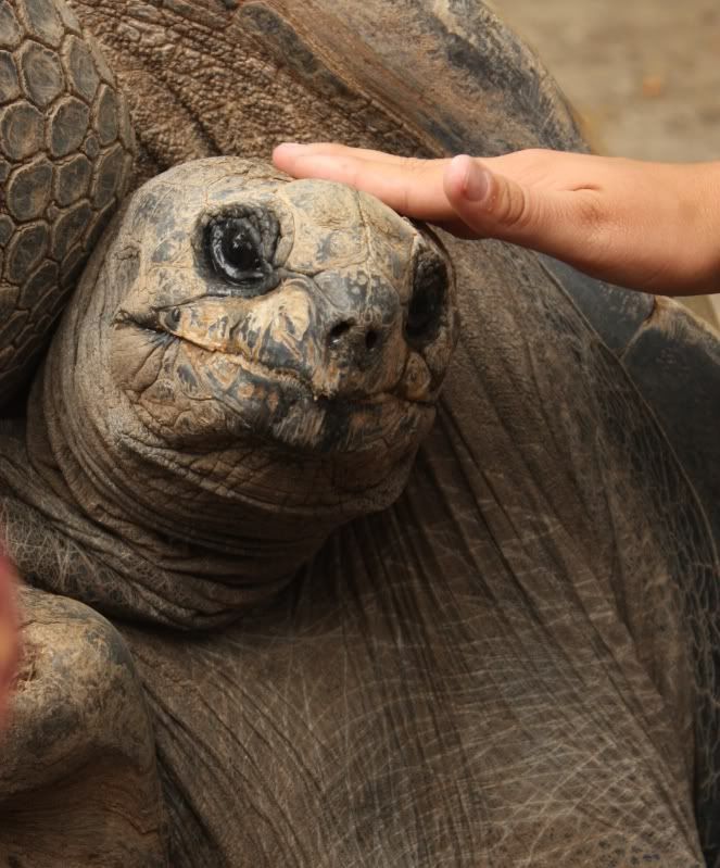 IMAGE: http://i154.photobucket.com/albums/s254/drevilsmom/IMG_6192.jpg