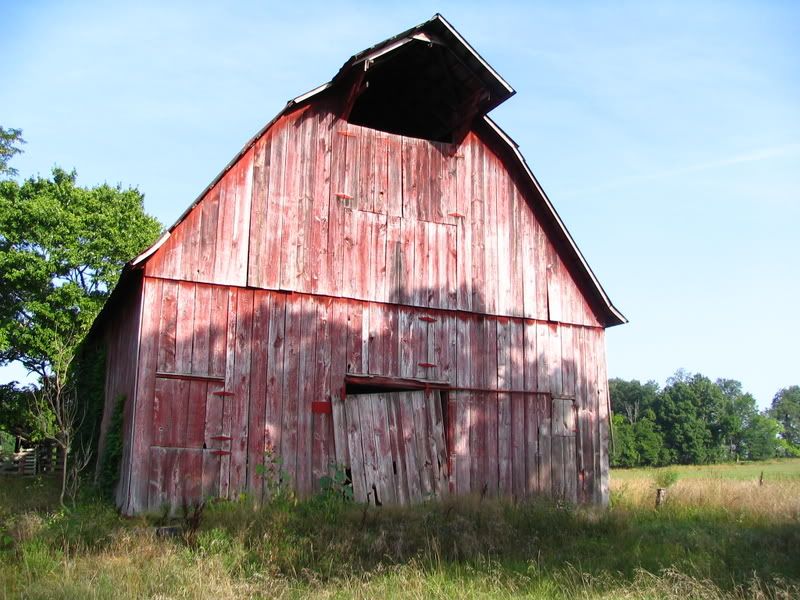 IMAGE: http://i154.photobucket.com/albums/s254/drevilsmom/IMG_8080.jpg