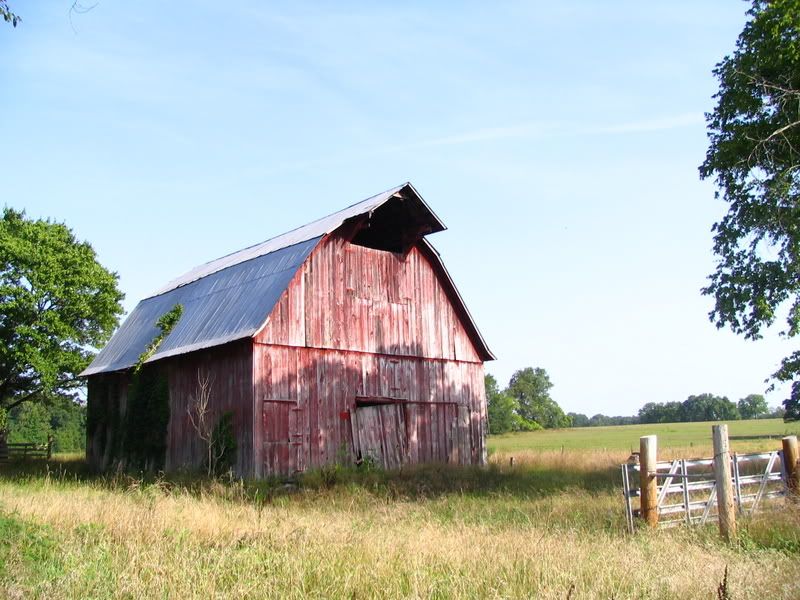 IMAGE: http://i154.photobucket.com/albums/s254/drevilsmom/IMG_8084.jpg