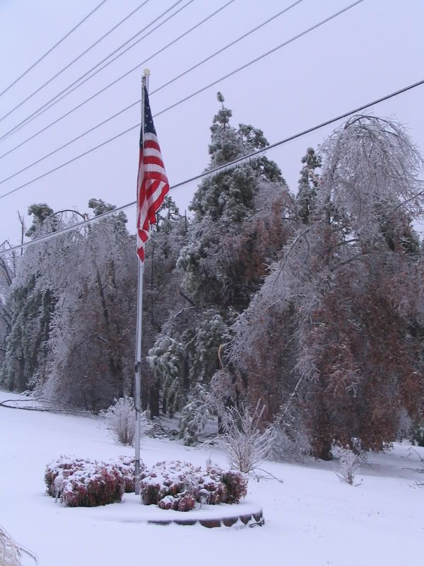 IMAGE: http://i154.photobucket.com/albums/s254/drevilsmom/IMG_8662.jpg