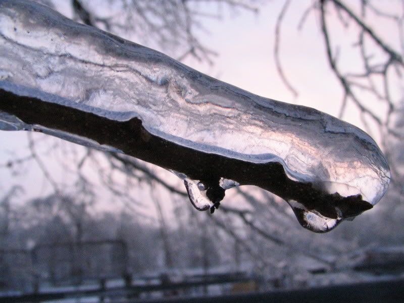 IMAGE: http://i154.photobucket.com/albums/s254/drevilsmom/IMG_8671.jpg