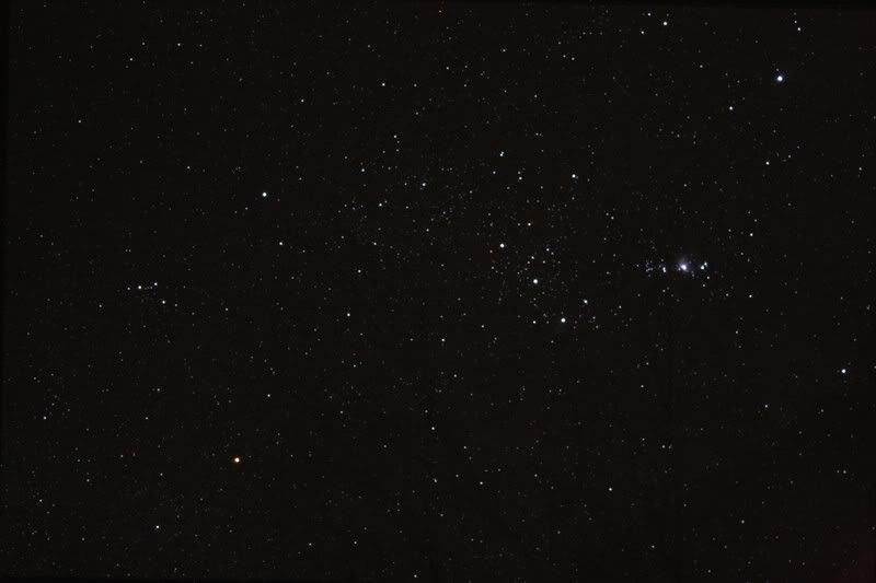 IMAGE: http://i154.photobucket.com/albums/s254/drevilsmom/Orion11.jpg