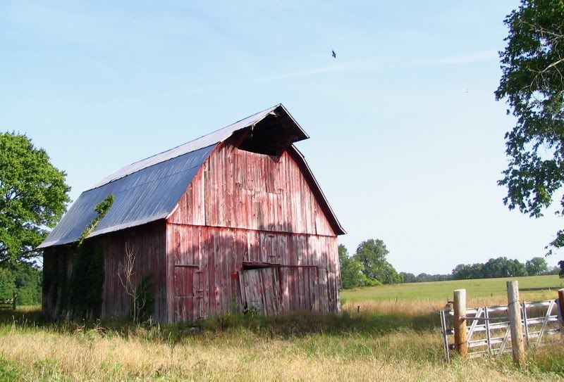 IMAGE: http://i154.photobucket.com/albums/s254/drevilsmom/barn2.jpg