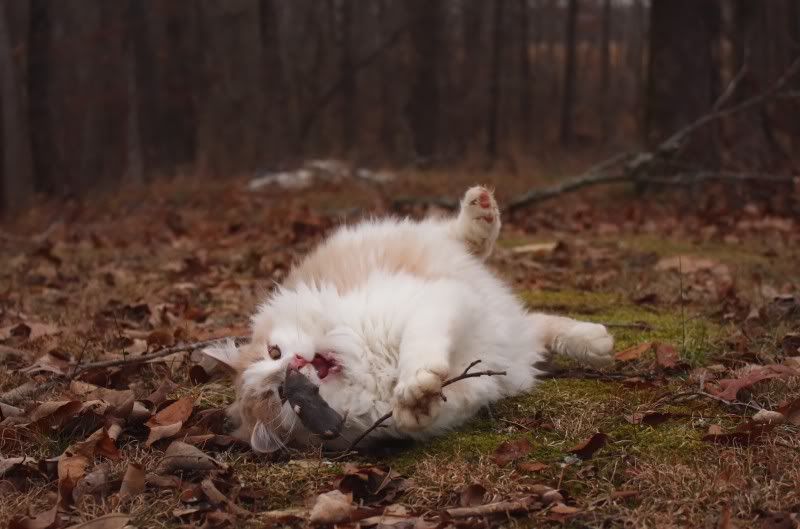 IMAGE: http://i154.photobucket.com/albums/s254/drevilsmom/eat_filtered.jpg