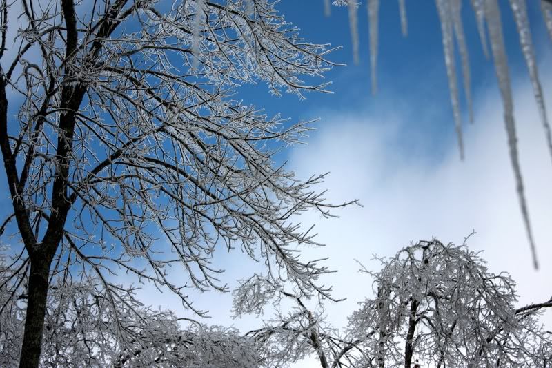 IMAGE: http://i154.photobucket.com/albums/s254/drevilsmom/littlebluesky.jpg