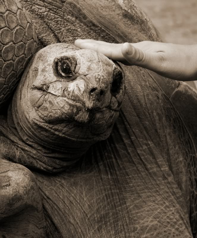 IMAGE: http://i154.photobucket.com/albums/s254/drevilsmom/oldandyoung1.jpg