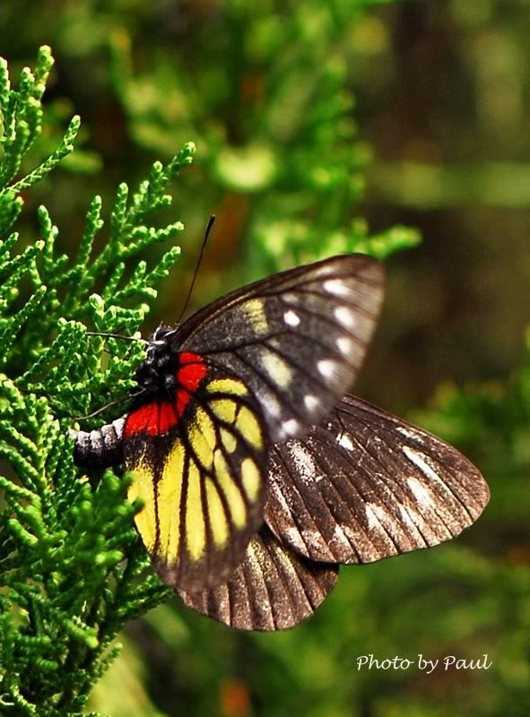 Photo Sharing and Video Hosting at Photobucket