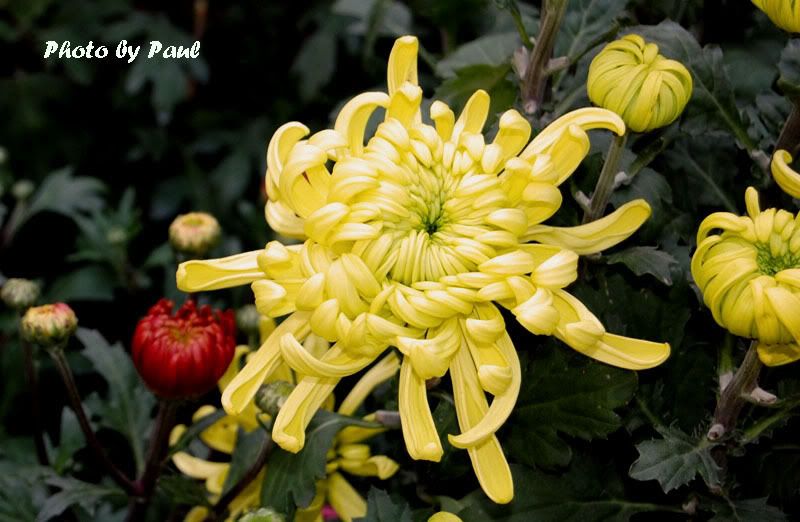 Photo Sharing and Video Hosting at Photobucket