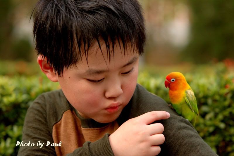 Photo Sharing and Video Hosting at Photobucket