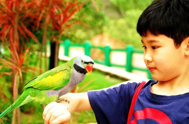 Photo Sharing and Video Hosting at Photobucket