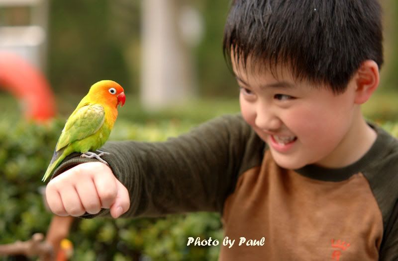 Photo Sharing and Video Hosting at Photobucket