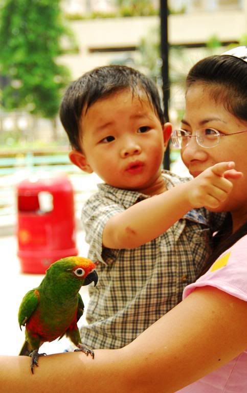 Photo Sharing and Video Hosting at Photobucket