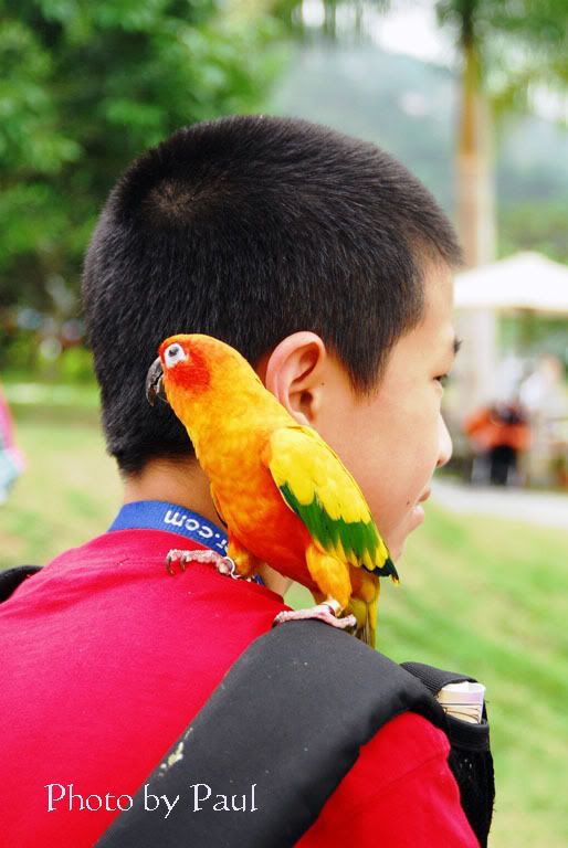 Photo Sharing and Video Hosting at Photobucket