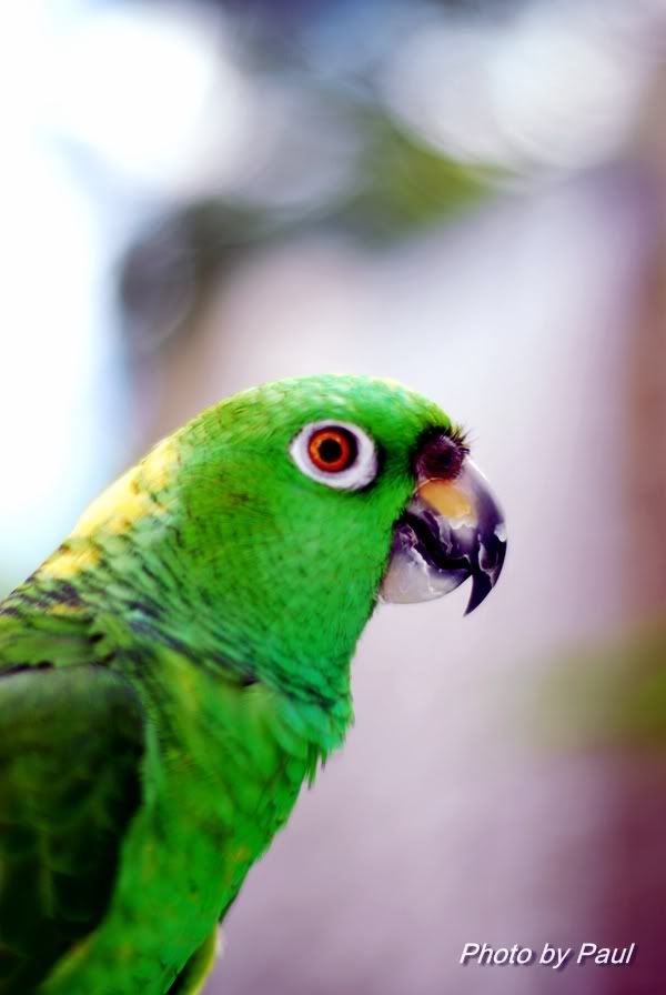 Photo Sharing and Video Hosting at Photobucket