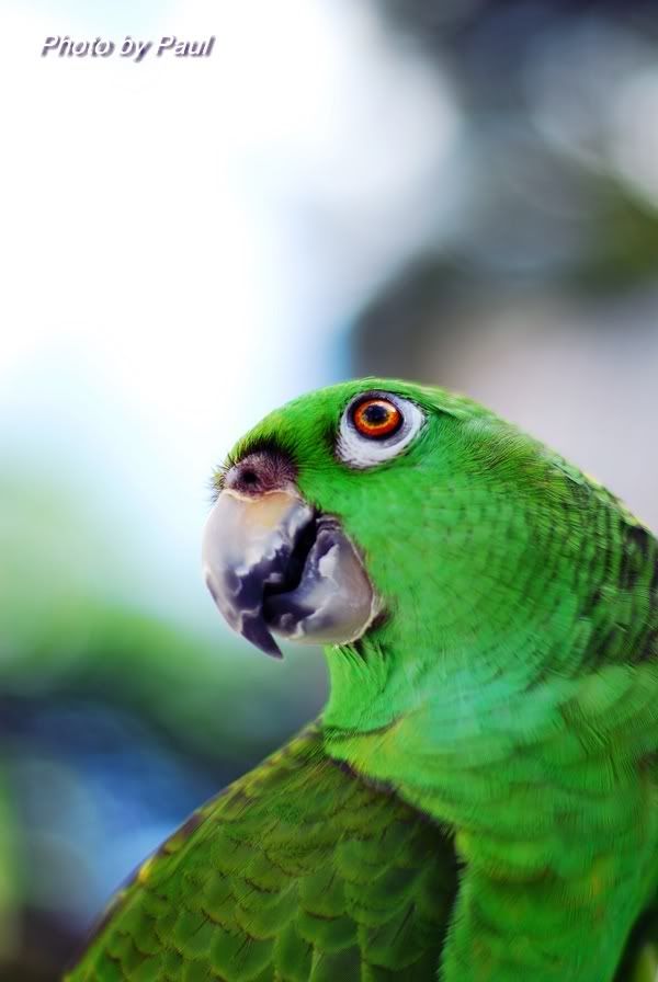 Photo Sharing and Video Hosting at Photobucket