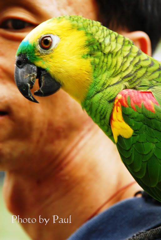 Photo Sharing and Video Hosting at Photobucket